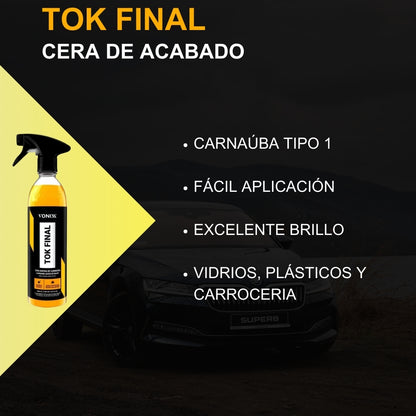 CARNAUBA TOK FINAL